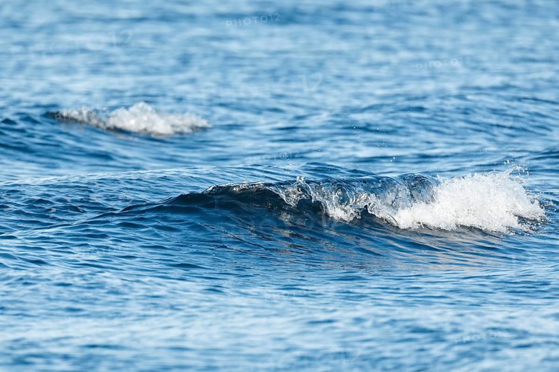Blue sea with light swell