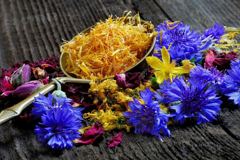 Flowers and spoons