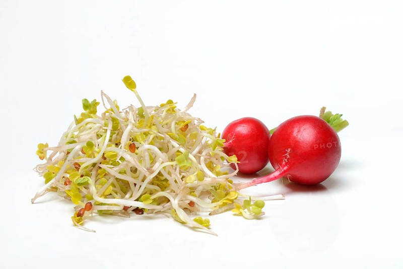 Red Radish sprouts