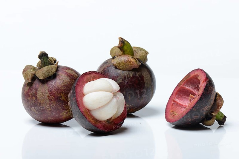 Crimson mangosteen