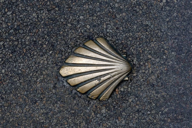 Scallop in asphalt