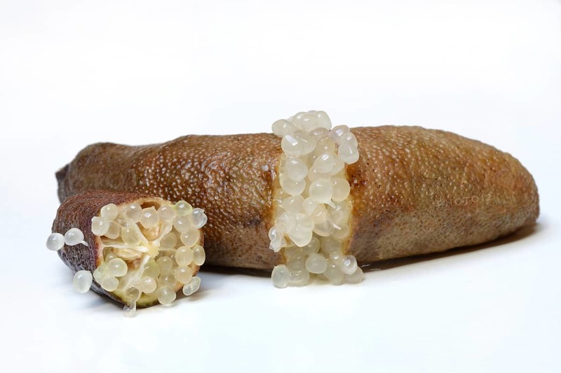 Australian finger lime