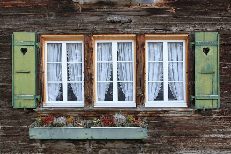 Detail of Swiss Mountain House