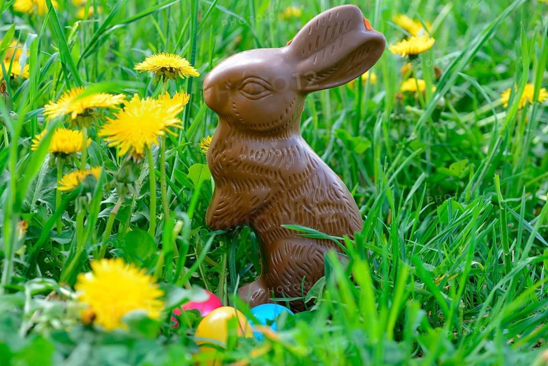 Chocolate Easter bunny and Easter eggs