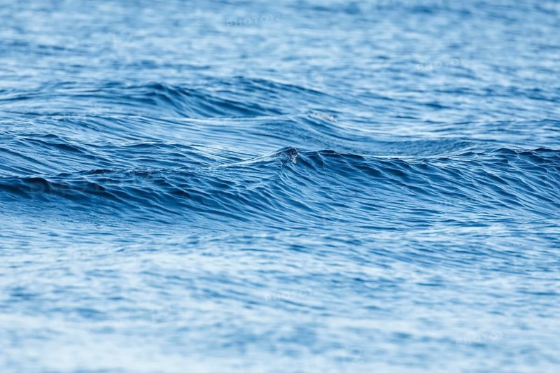 Blue sea with light swell