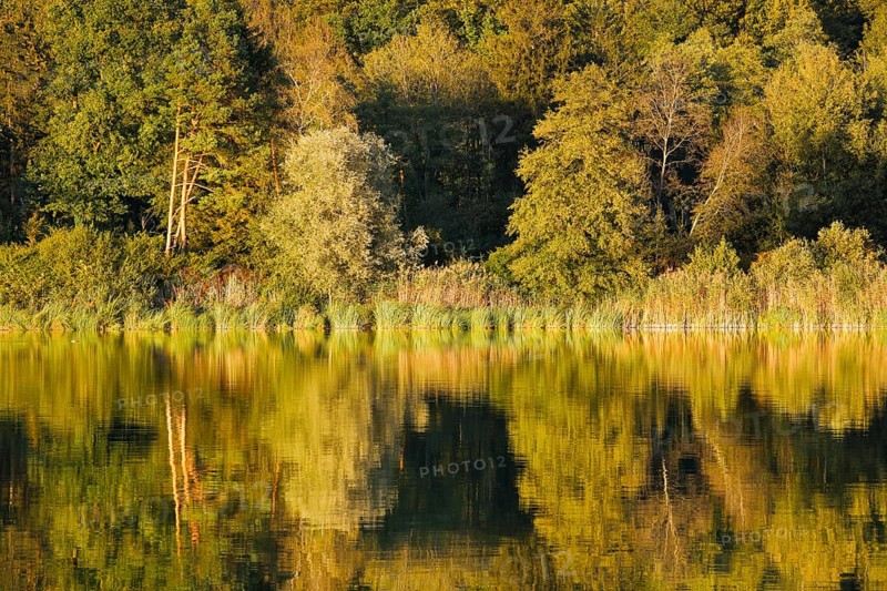 Burgaeschisee