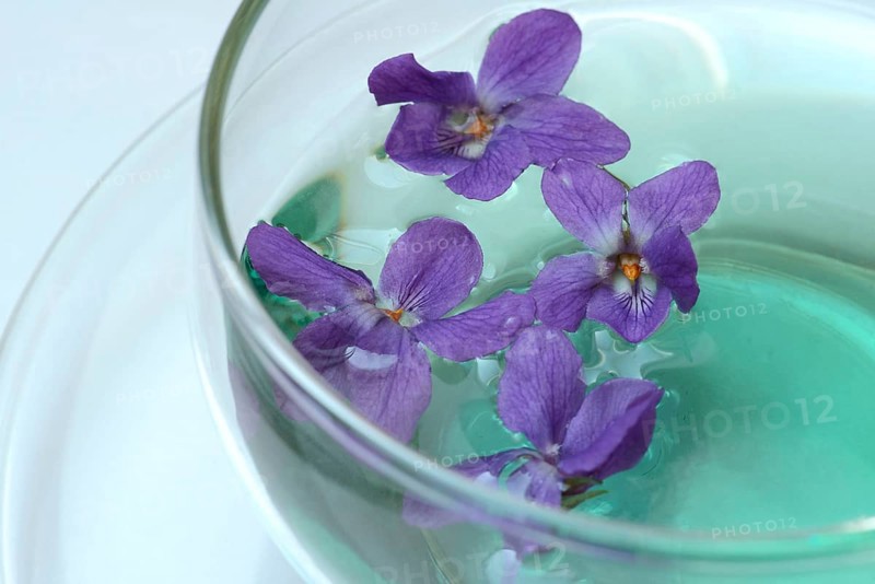 Violet tea