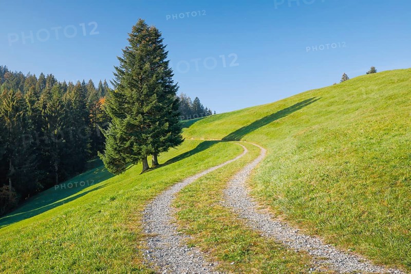 Field path on the Ratenpass
