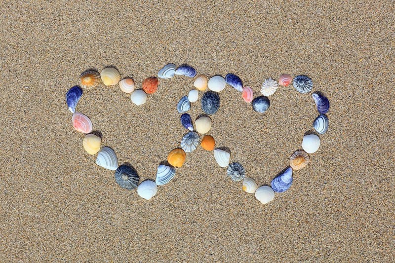 Shells forming double heart shape