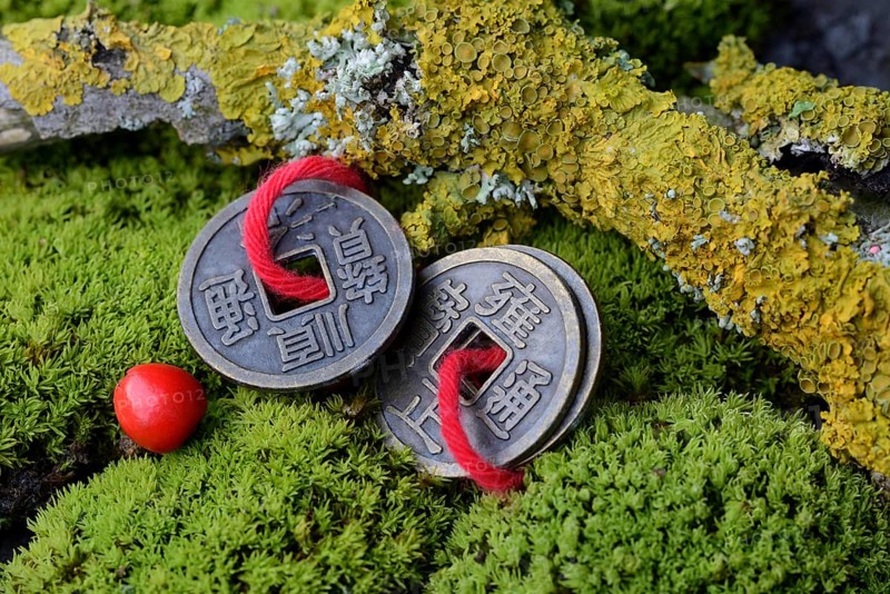 Chinese lucky coins in moss and twig with lichen