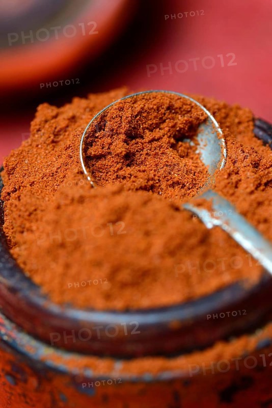 Paprika powder in spoon