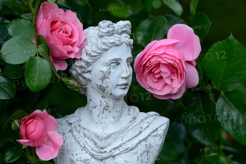 Bust with roses