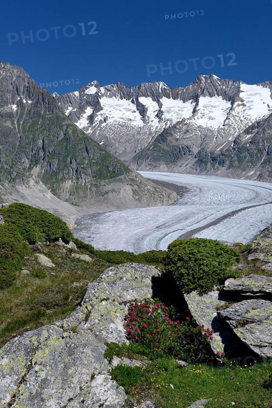 Great Aletsch Glacier