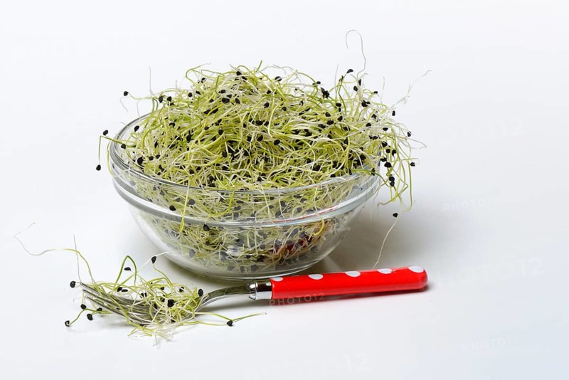 Onion sprouts in skin with fork