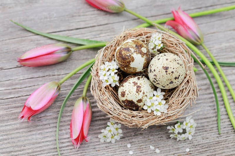 Natural Easter Decoration