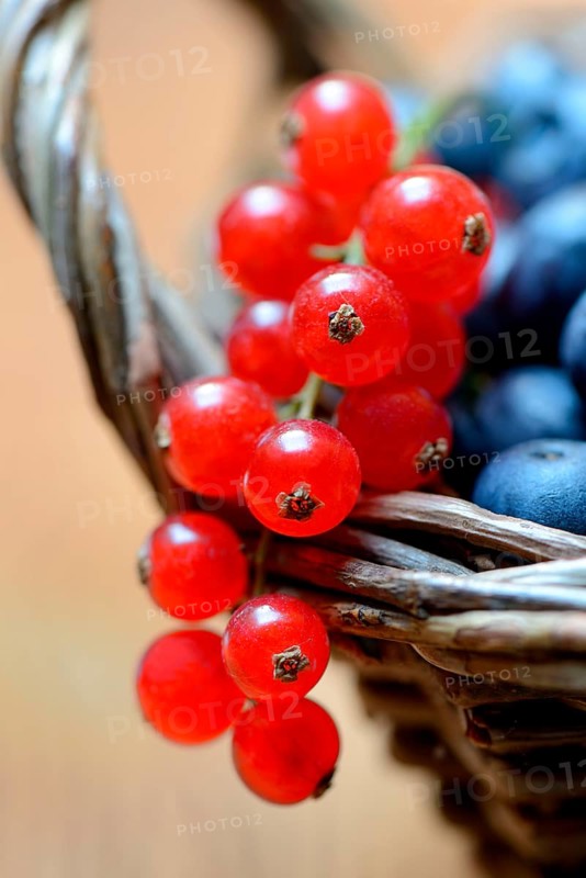 Currants and blueberries in basket