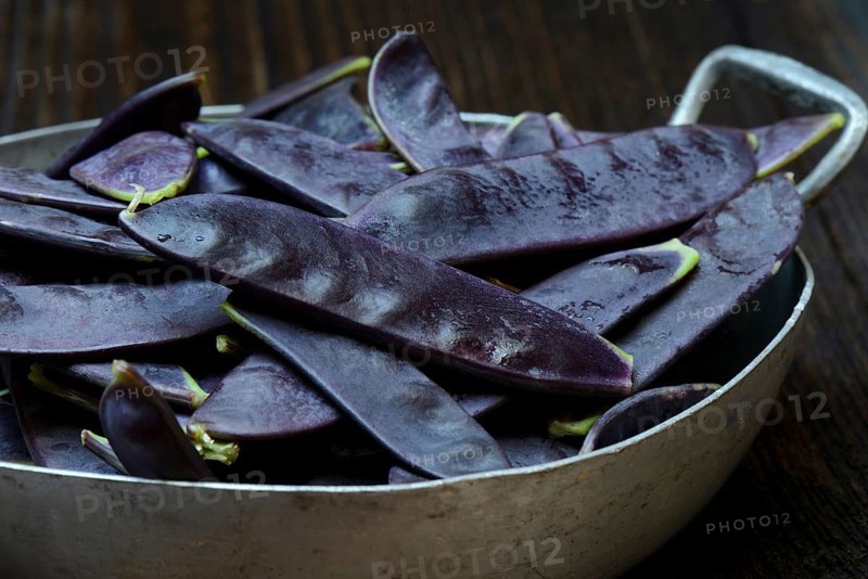 Violet pods