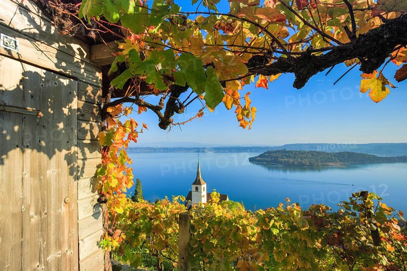 Vineyards near Ligerz on Lake Biel
