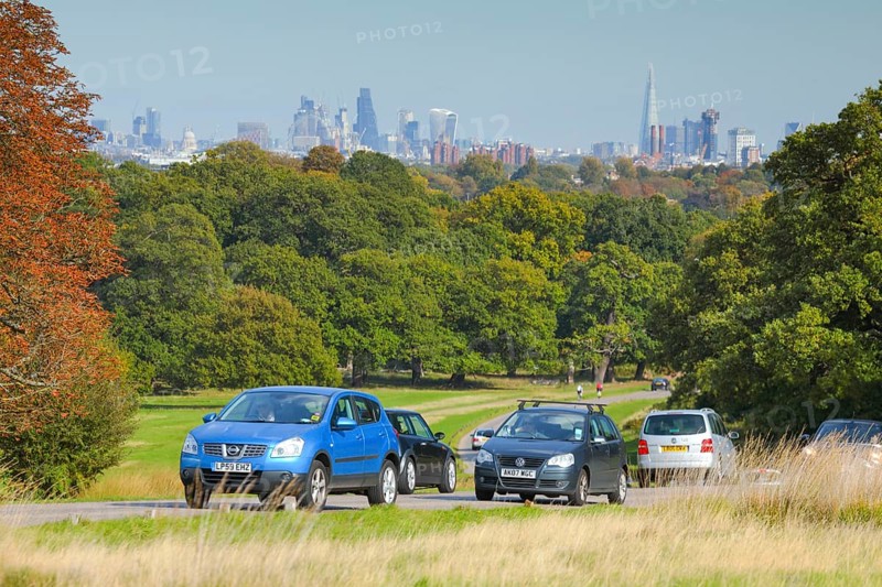 Heavy visitor traffic in Richmond Park