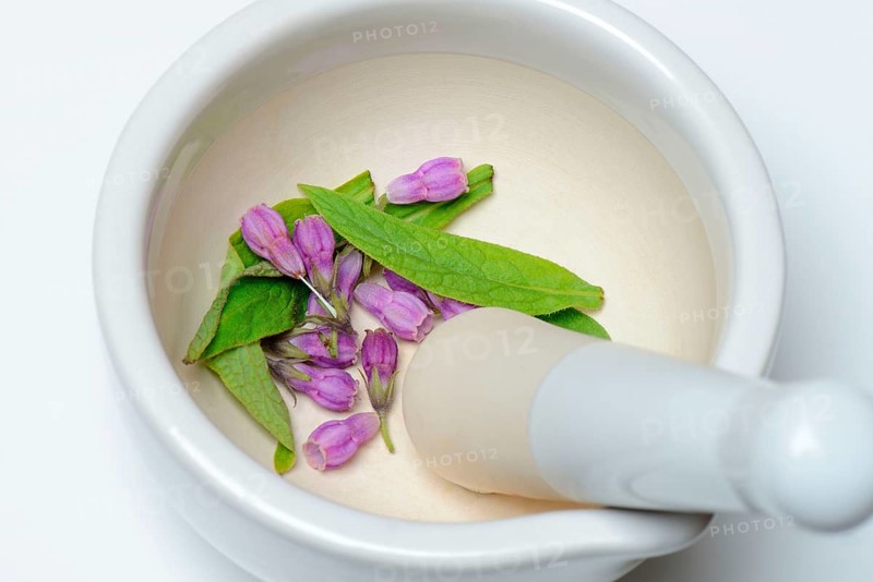 Comfrey
