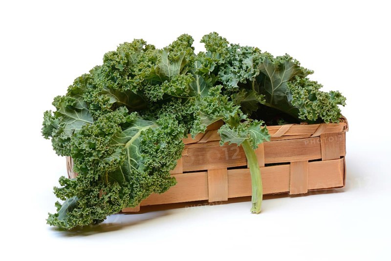 Brassica oleracea in spankorb