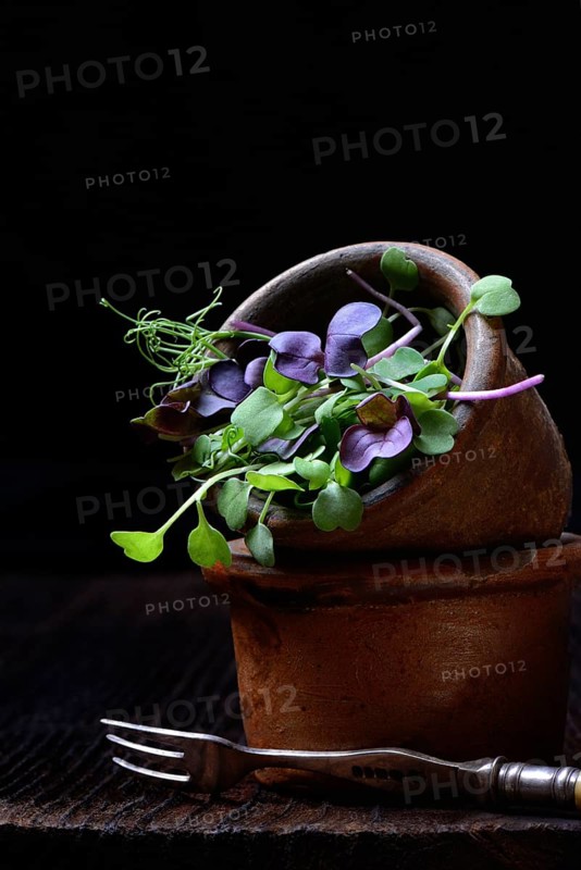 Microgreen