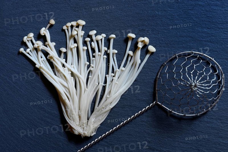 Golden needle mushroom-Mushrooms
