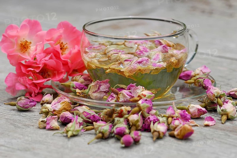 Rose tea in cup and rose buds