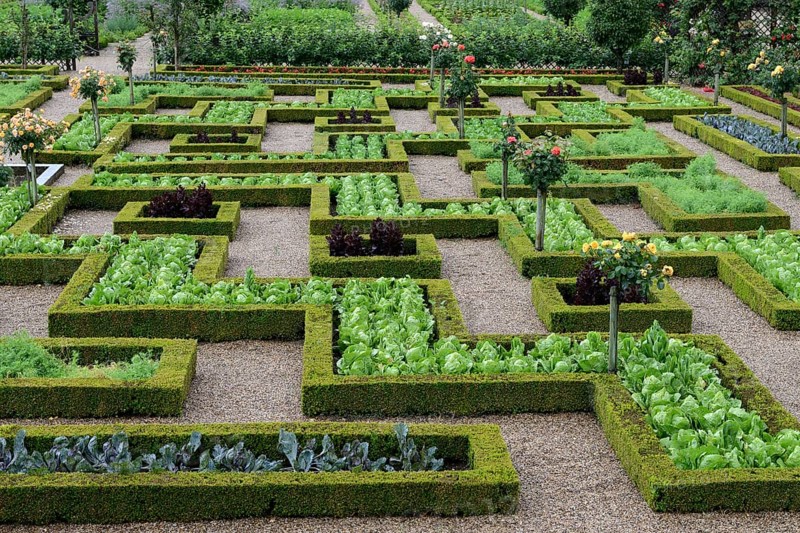 Vegetable garden of Villandry Castle
