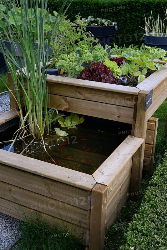 Raised bed with water basin