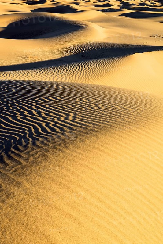 Mesquite Flats Sand Dunes