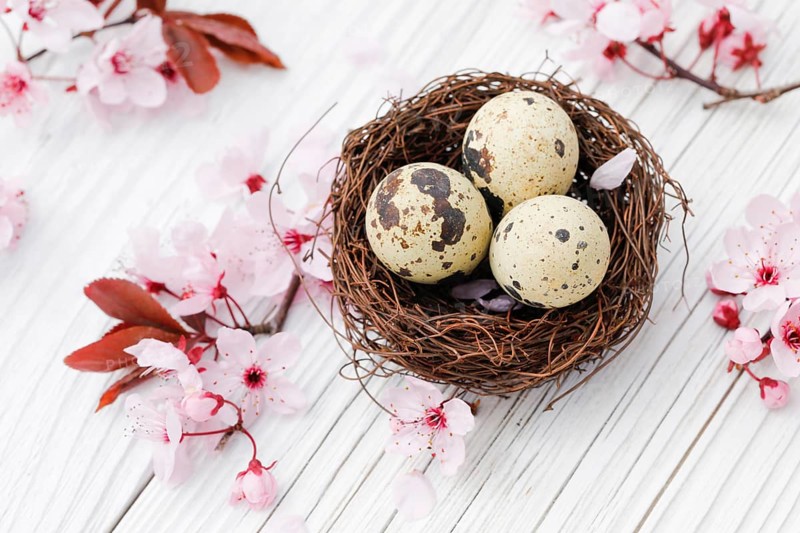 Easter decoration