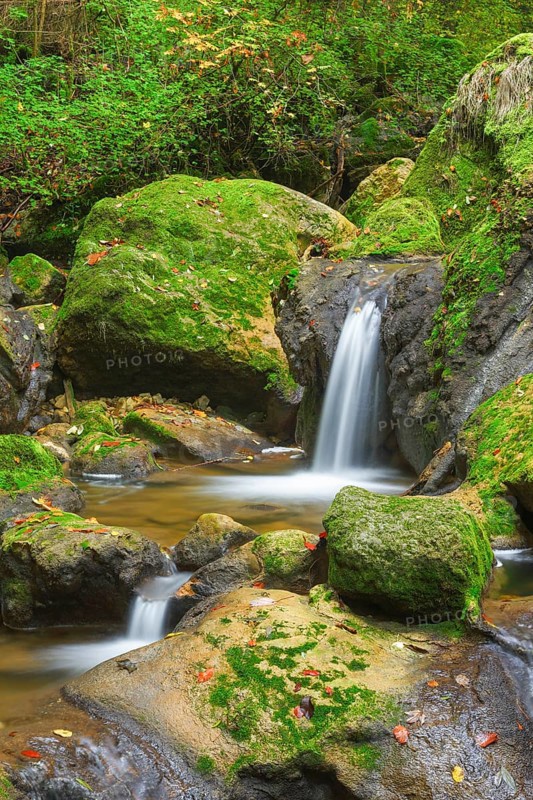 Twannbach Gorge