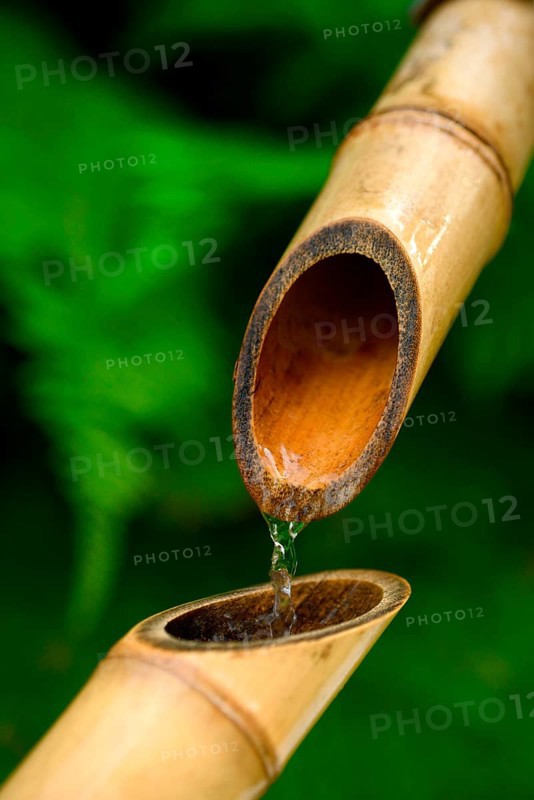 Japanese bamboo fountain