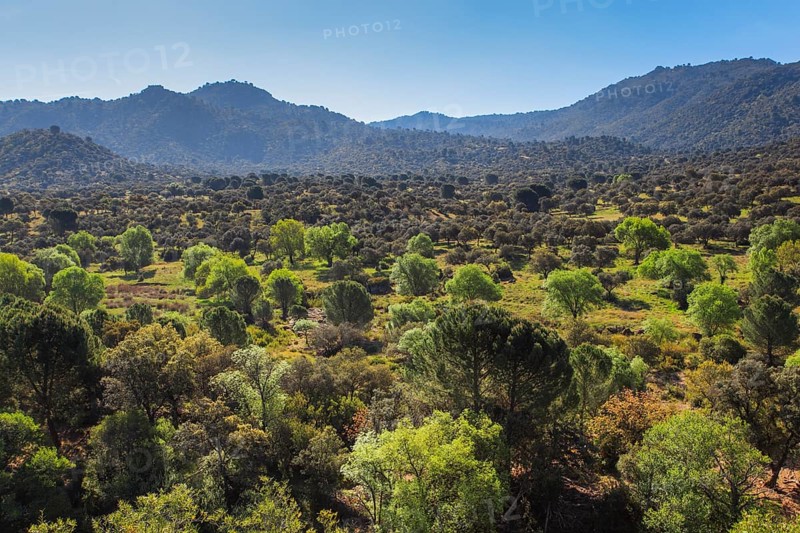 Typical landscape in National Park of Sierra de Andujar