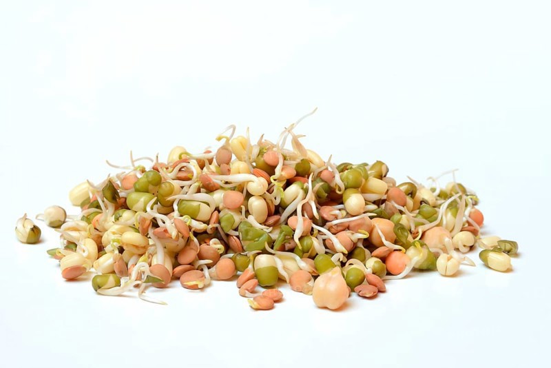 Mixed sprouts of lentils