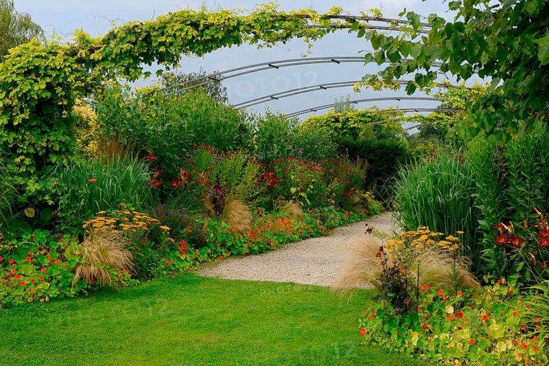 Pergola