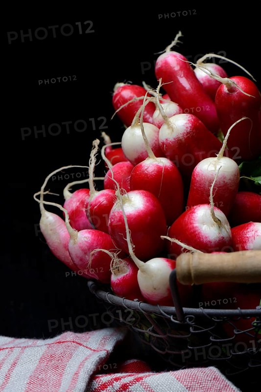 Red-white Red Radish