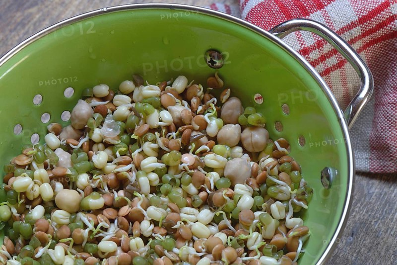 Mixed sprouts of lentils