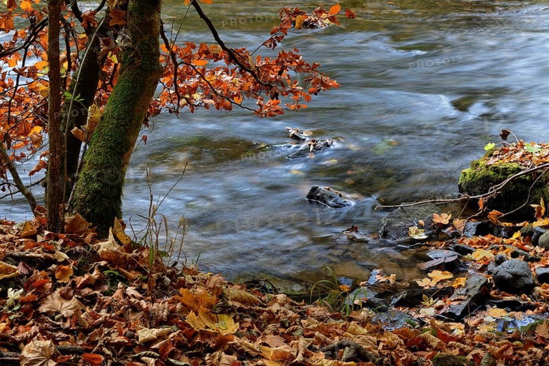Wutach Gorge