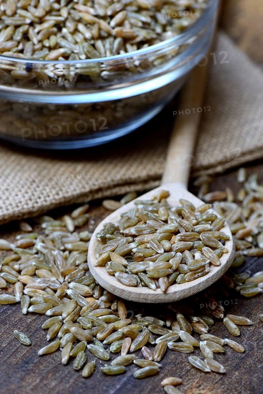 Unripe spelt grain