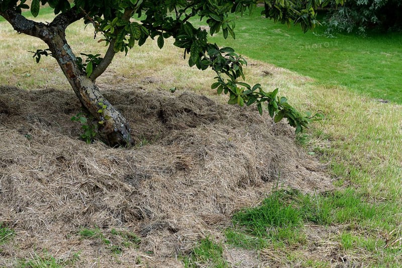 Mulching