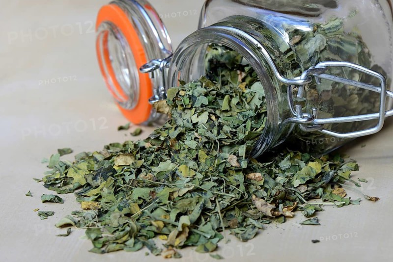 Dried Moringa leaves