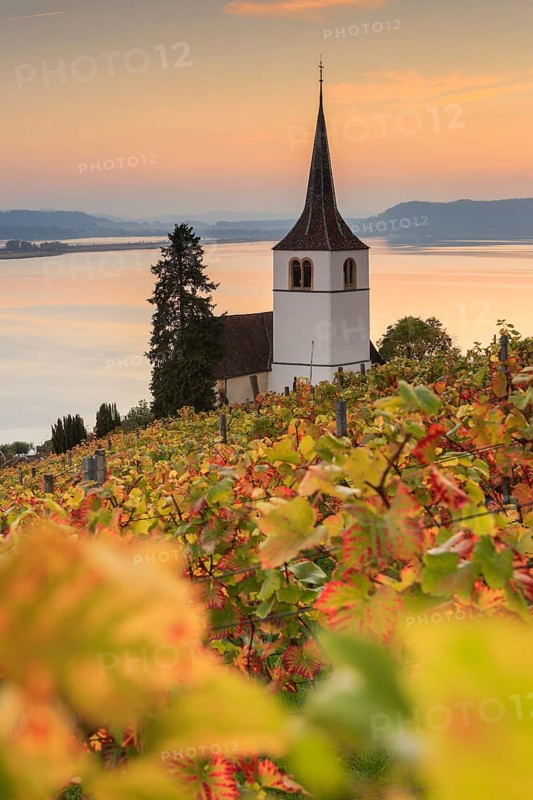 Vineyards near Ligerz on Lake Biel