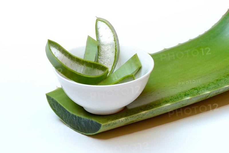 Aloe leaf slices in small bowls and cut leaf