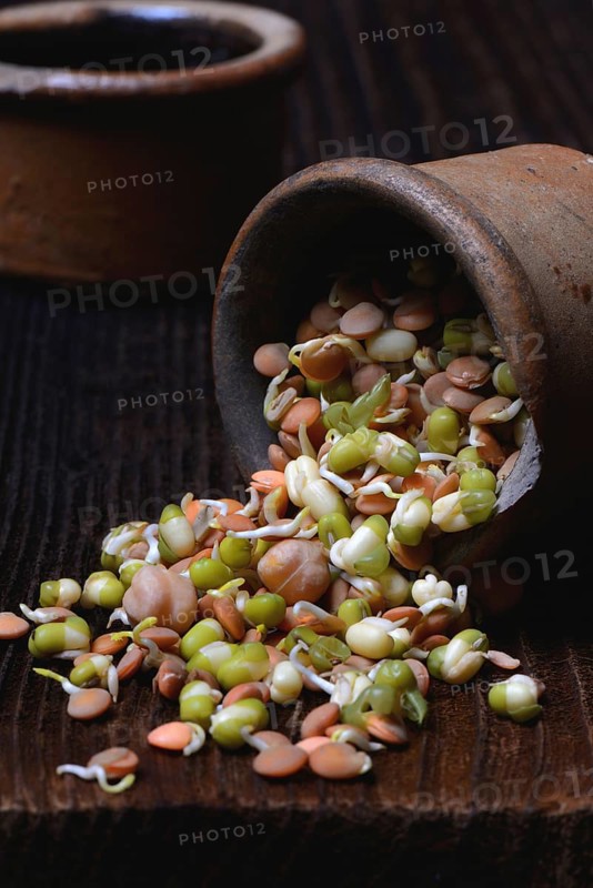 Mixed sprouts of lentils