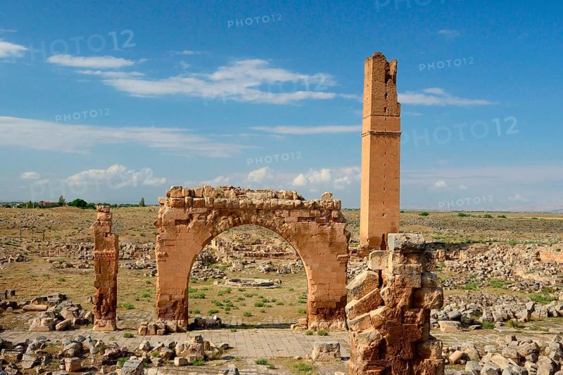 Ruins of Harran University