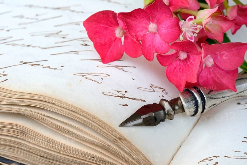 Penholder with quill on book with old manuscript and hydrangea blossom