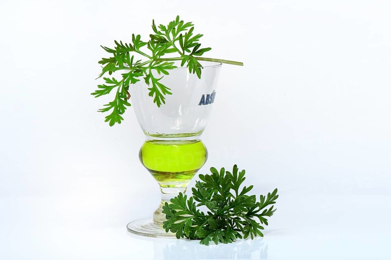 Glass of absinthe with wormwood