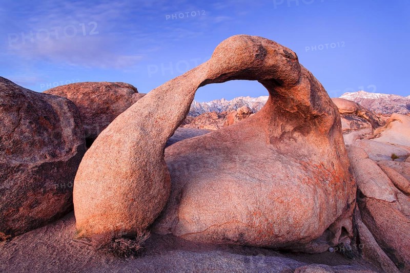 Mobius Arch